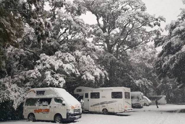 Powered Sites - Campervans only